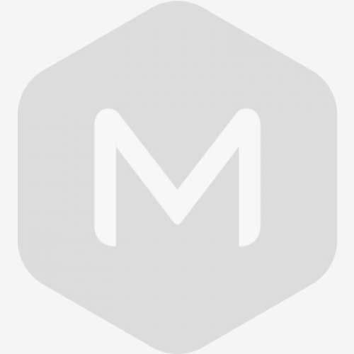 北京踏實2024年春節放假通知